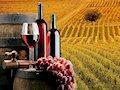 Descrizione della produzione vitivinicola della regione Umbria.
